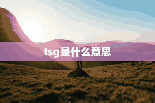 tsg是什么意思